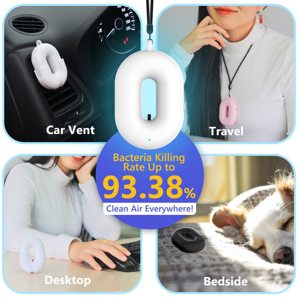 portable air purifier